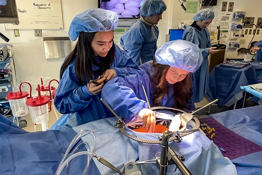 Fusion students in surgical scrubs working in an Olds College veterinary lab.